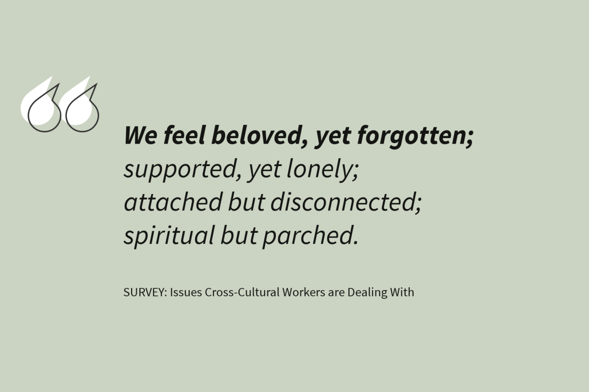 See the Survey Results in Depth