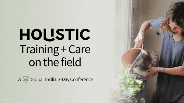 holistic cover 1-1-1