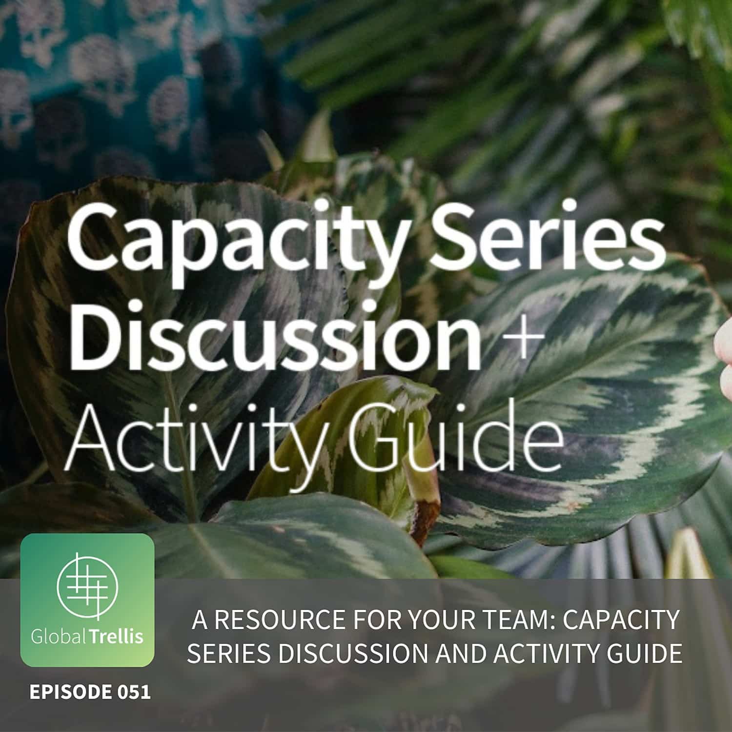 A Resource for Your Team: Capacity Series Discussion and Activity Guide