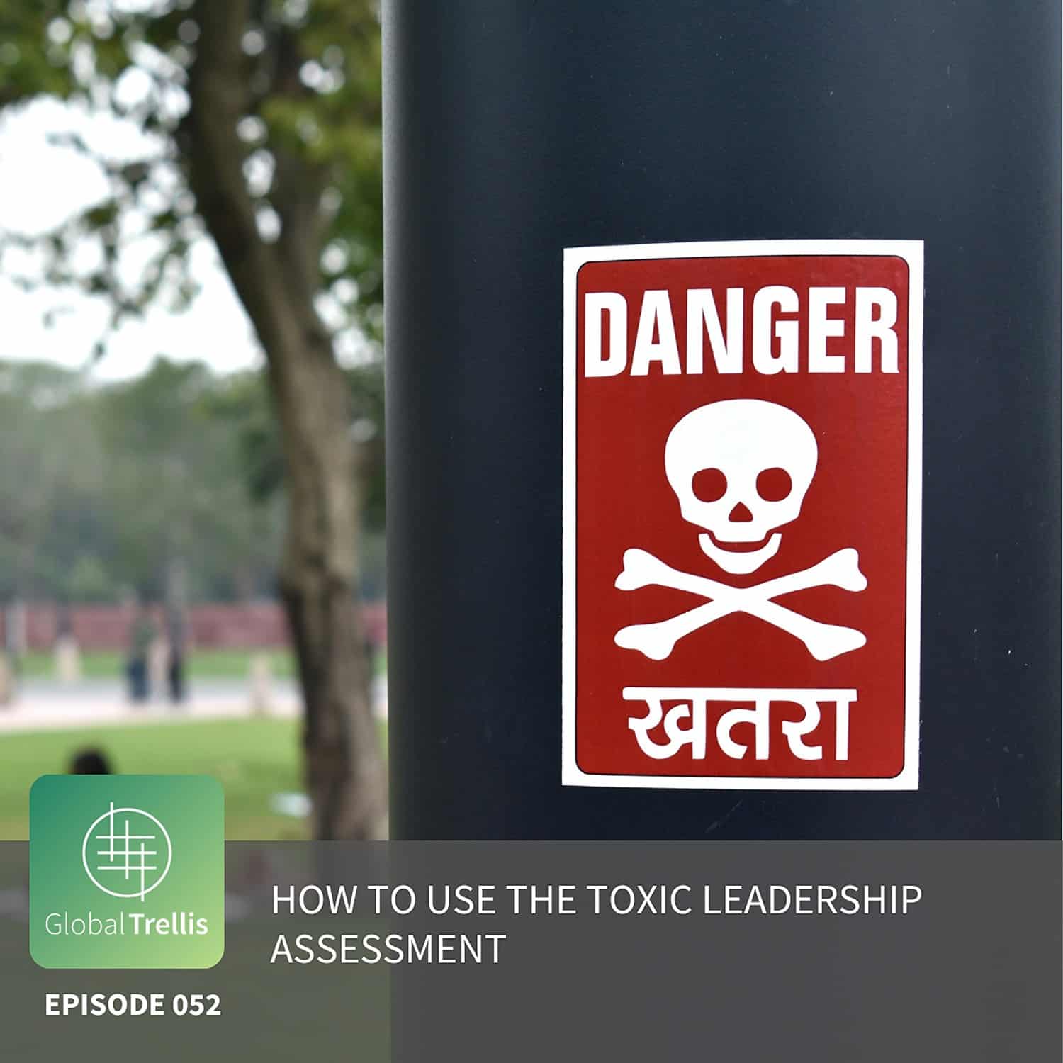 How to use The Toxic Leadership Assessment