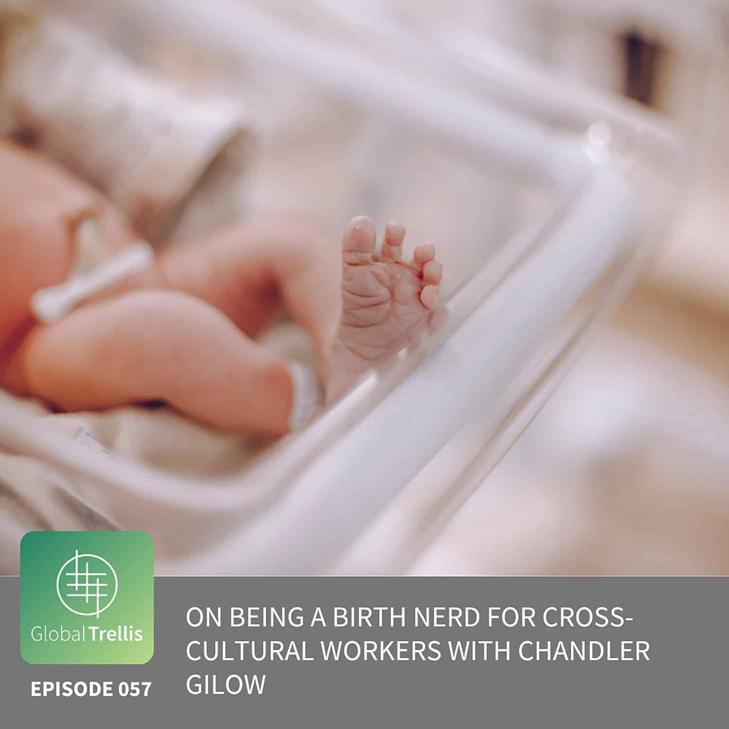 On Being a Birth Nerd for Cross-Cultural Workers with Chandler Gilow
