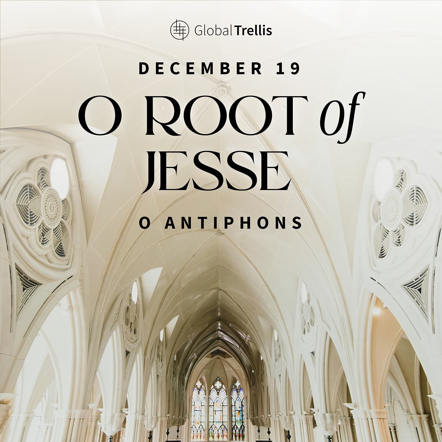 O Antiphons: December 19 – O Root of Jesse