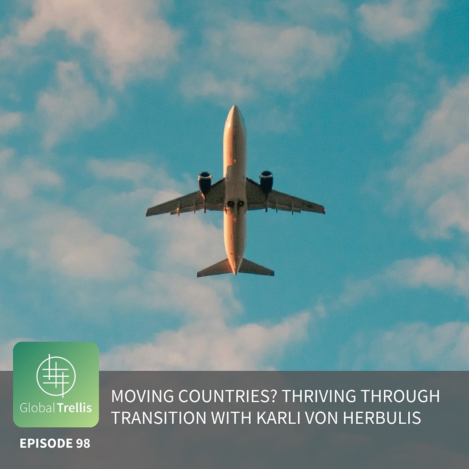 Moving Countries? Thriving Through Transition with Karli VonHerbulis